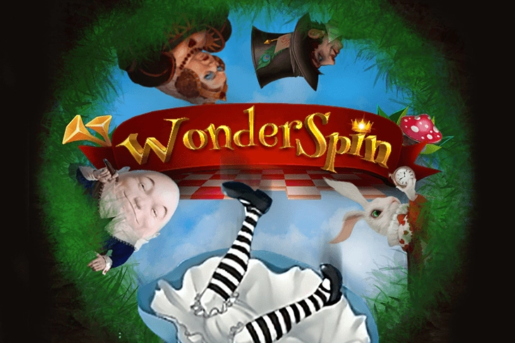 05013 wonder spin
