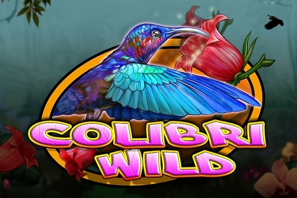 05284 colibri wild